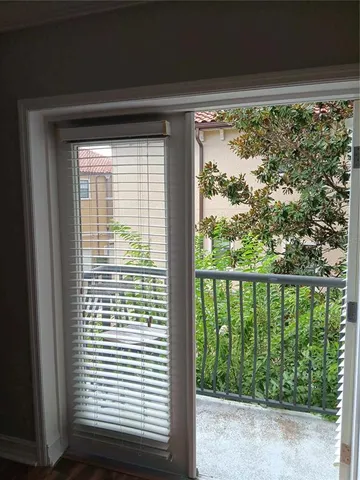 a view of a plant in a garden