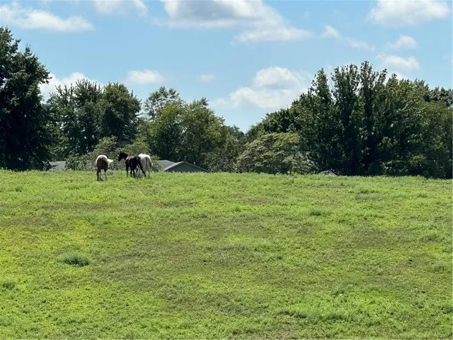 $449,900 | 24110 Highway Y N/a Dearborn Mo 64439 N/a, Dearborn, MO 64439