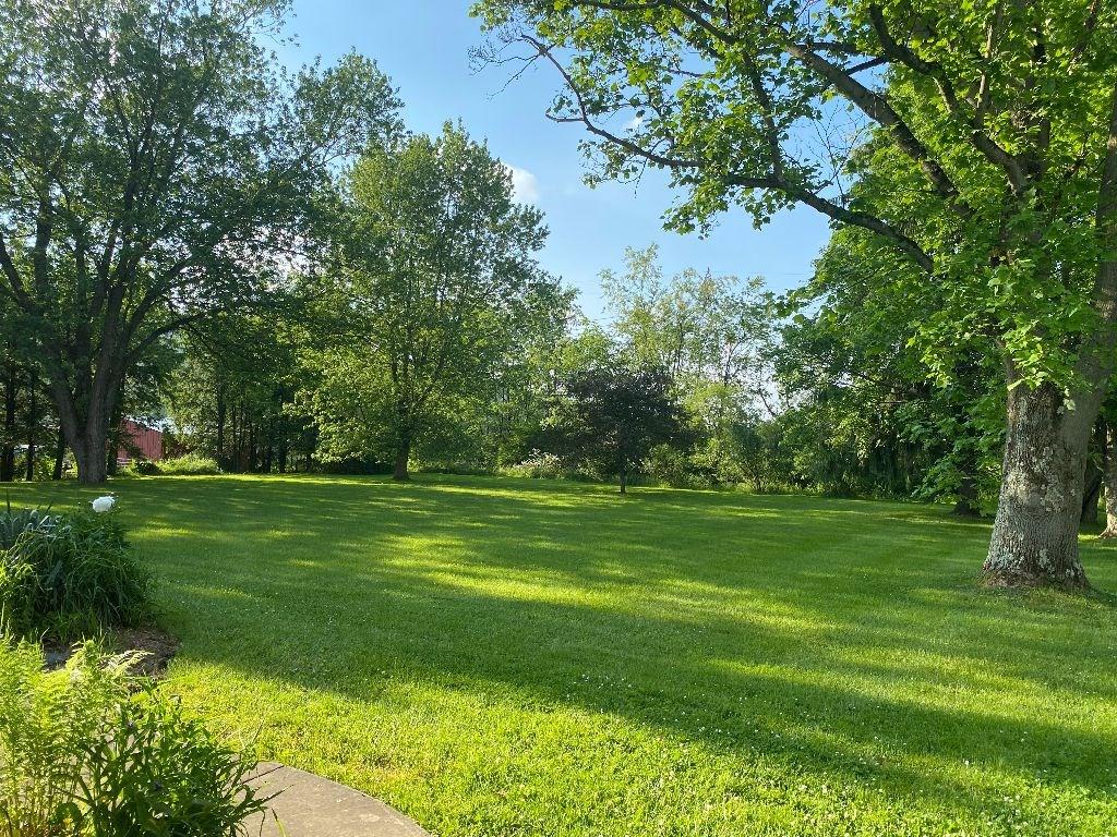 75 T547 Indiana, PA 15701 - Photo 18 of 20 Backyard