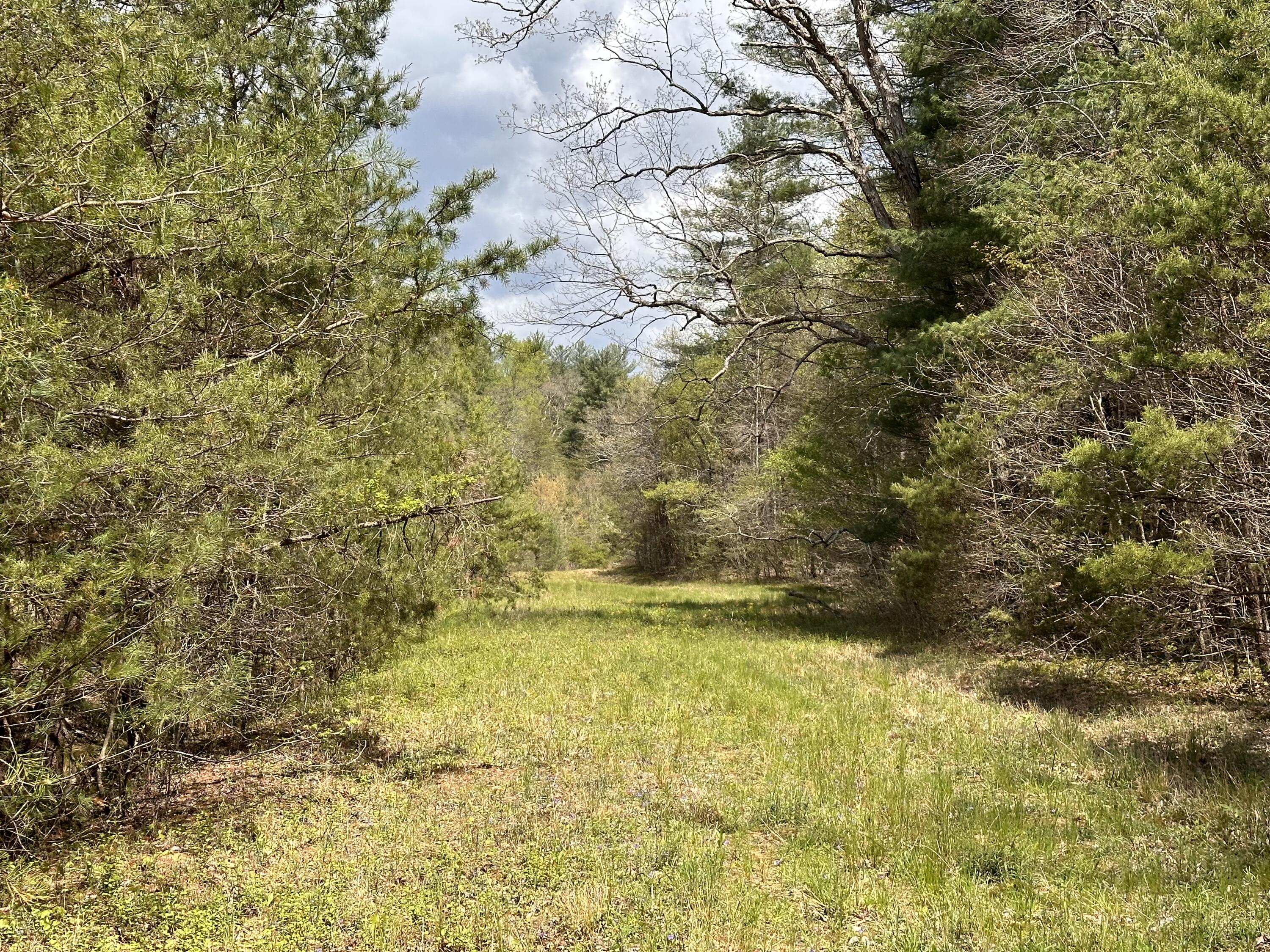 12 Clay-Alexander Road Campton, KY 41301 - Photo 29 of 31 IMG_2302