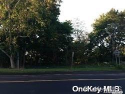 52 Main Road Riverhead, NY 11901 - Photo 12 of 13 a view of a yard