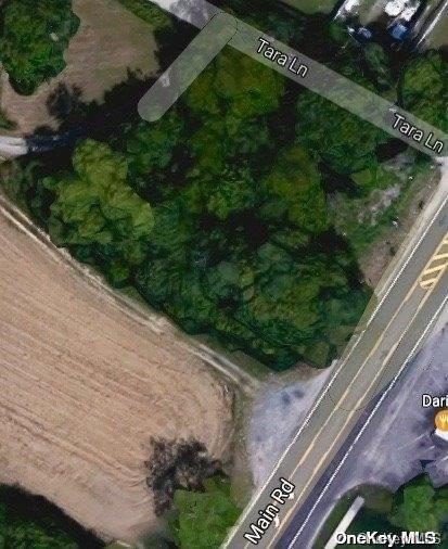 52 Main Road Riverhead, NY 11901 - Photo 5 of 13 a view of a yard with plants