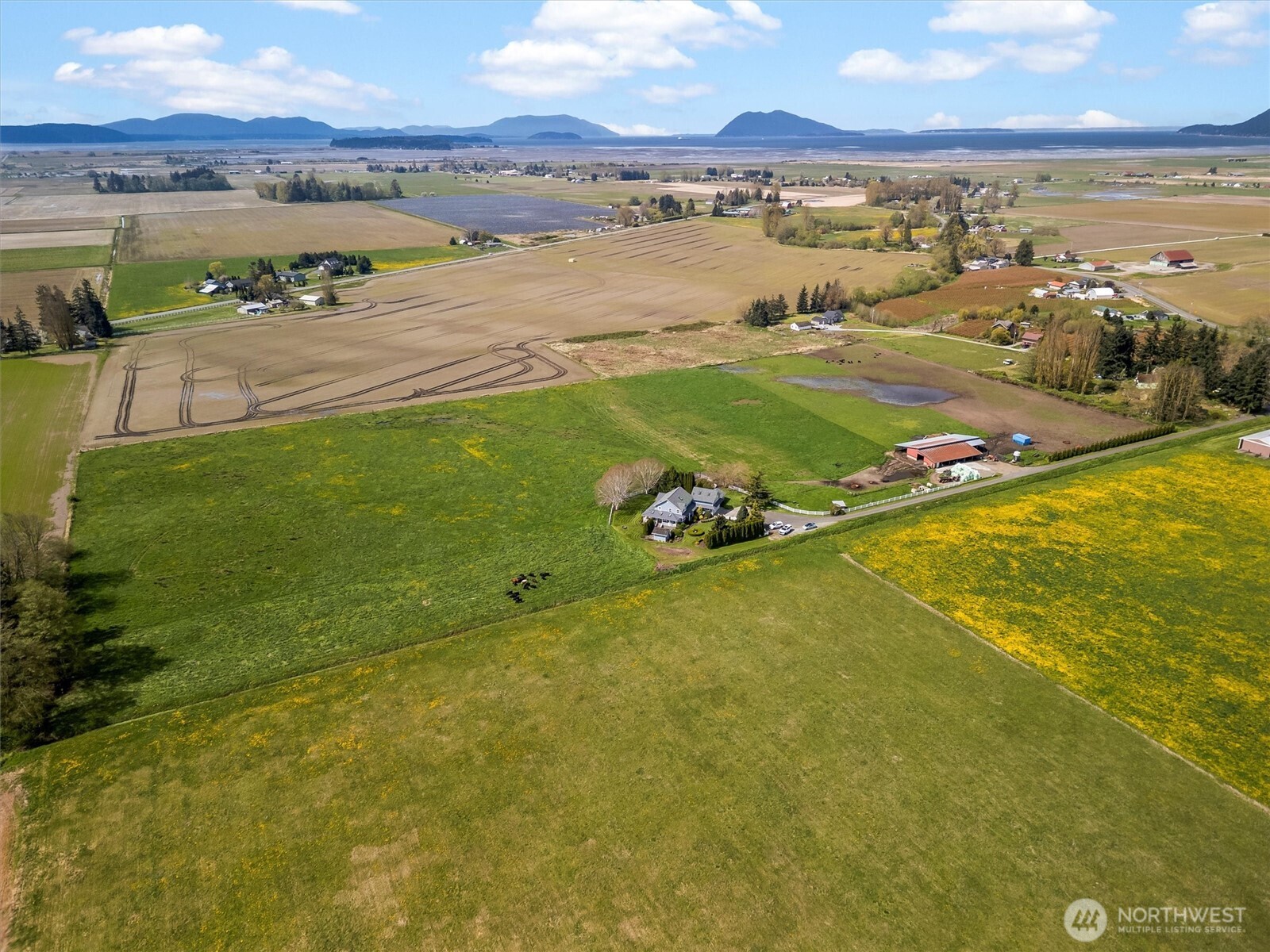 15808 Cemetery Road Bow, WA 98232 - Photo 40 of 40 Gallery Image 40