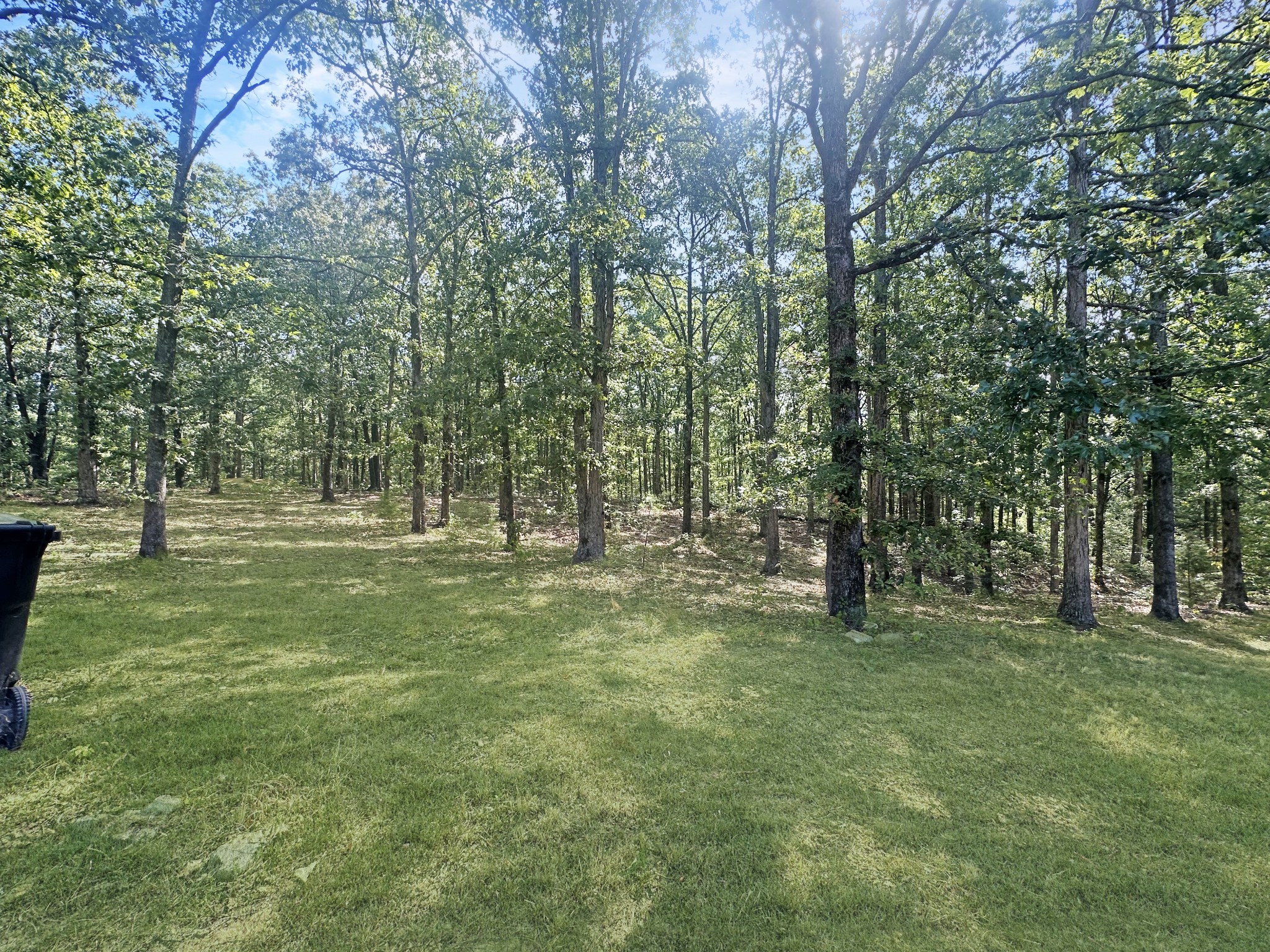 4939 Highway 49 Tennessee Ridge, TN 37178 - Photo 15 of 40 The wooded part of the property has mature trees.