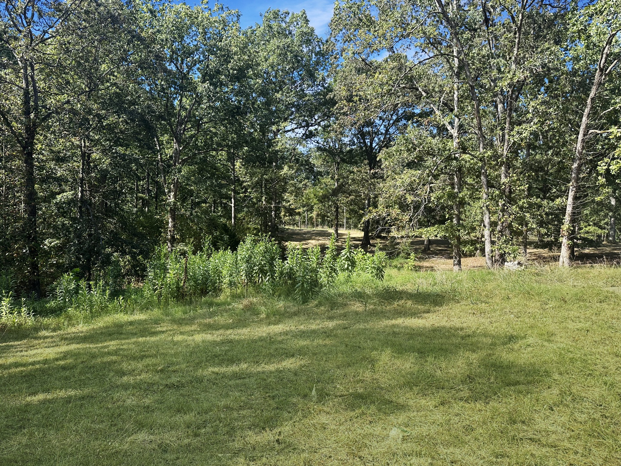 4939 Highway 49 Tennessee Ridge, TN 37178 - Photo 16 of 40 Gallery Image 16