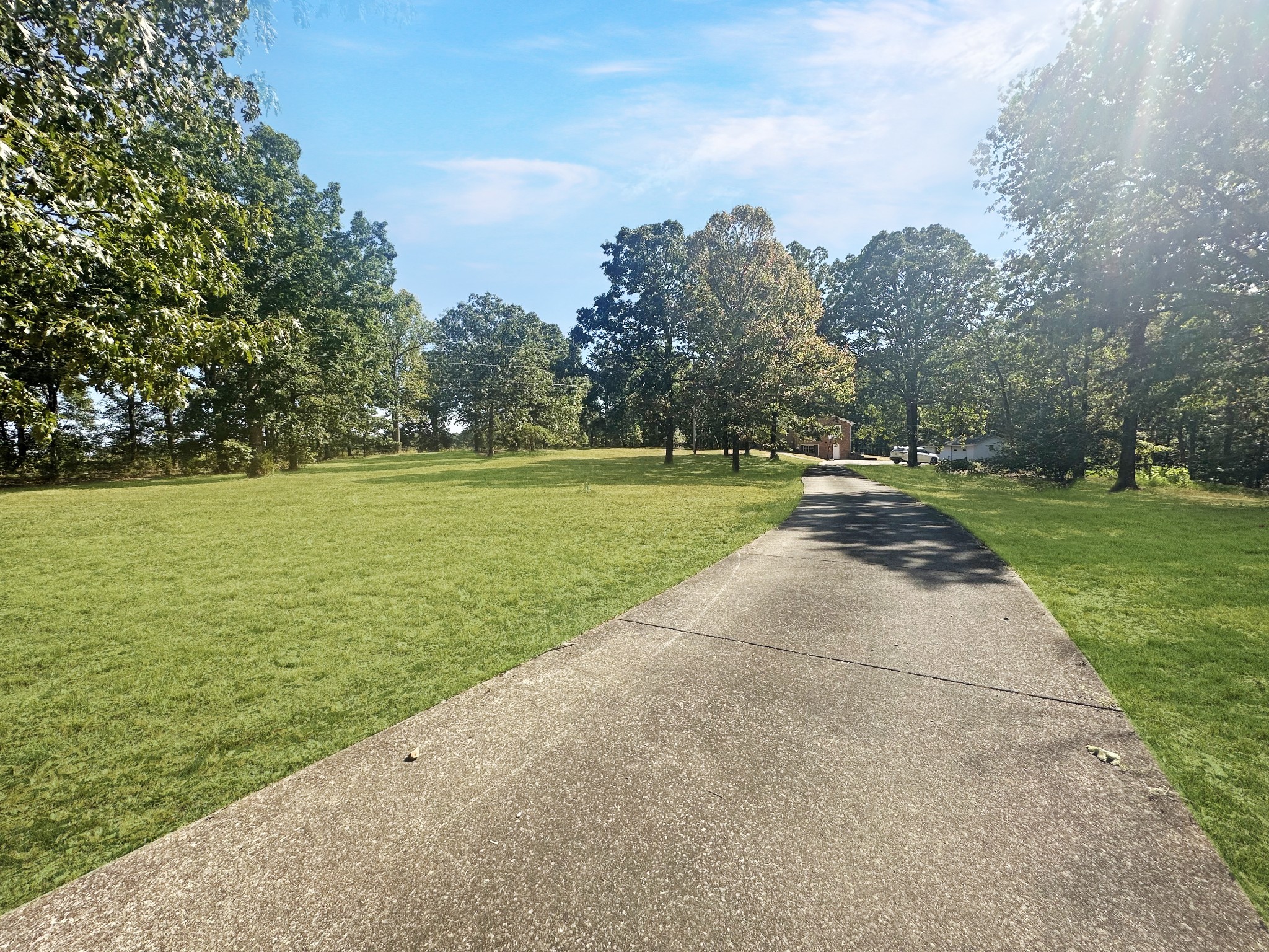 4939 Highway 49 Tennessee Ridge, TN 37178 - Photo 6 of 40 The long concrete driveway is lined with mature oak trees.