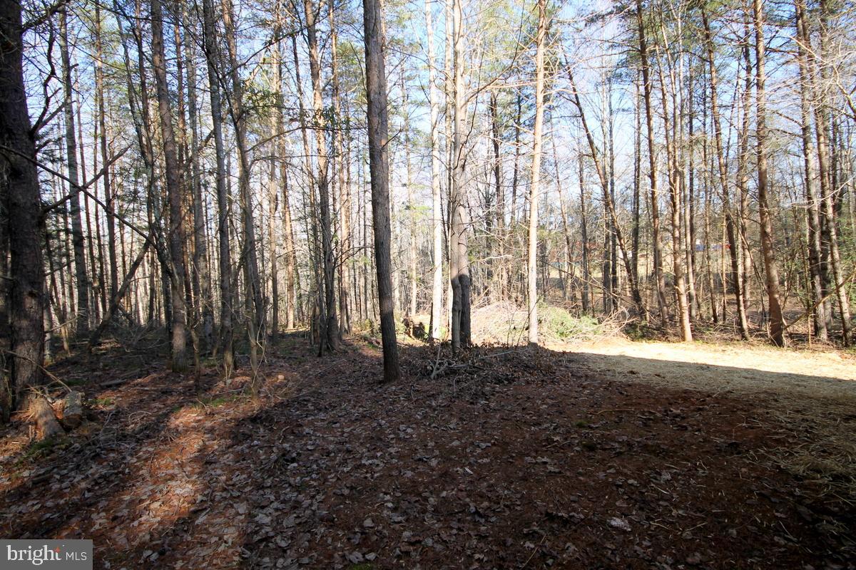 25279 Independence Road Unionville, VA 22567 - Photo 36 of 40 Gallery Image 36