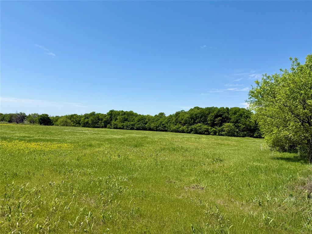 0 View Road Sanger, TX 76266 - Photo 2 of 10 a view of a field with an ocean