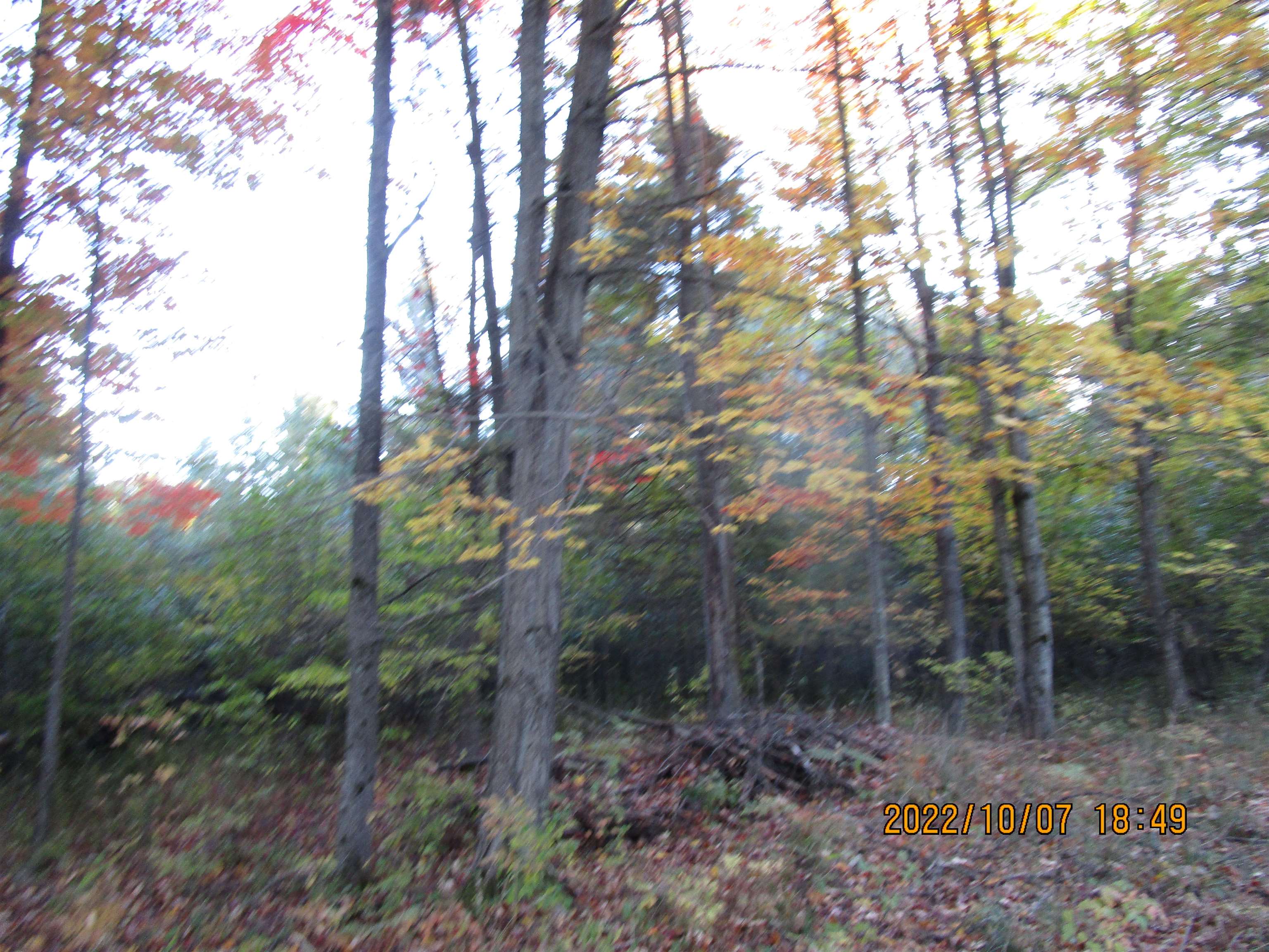 0 Miller Road, Unit ACCESS OFF MCARDLE East Tawas, MI 48730 - Photo 3 of 7