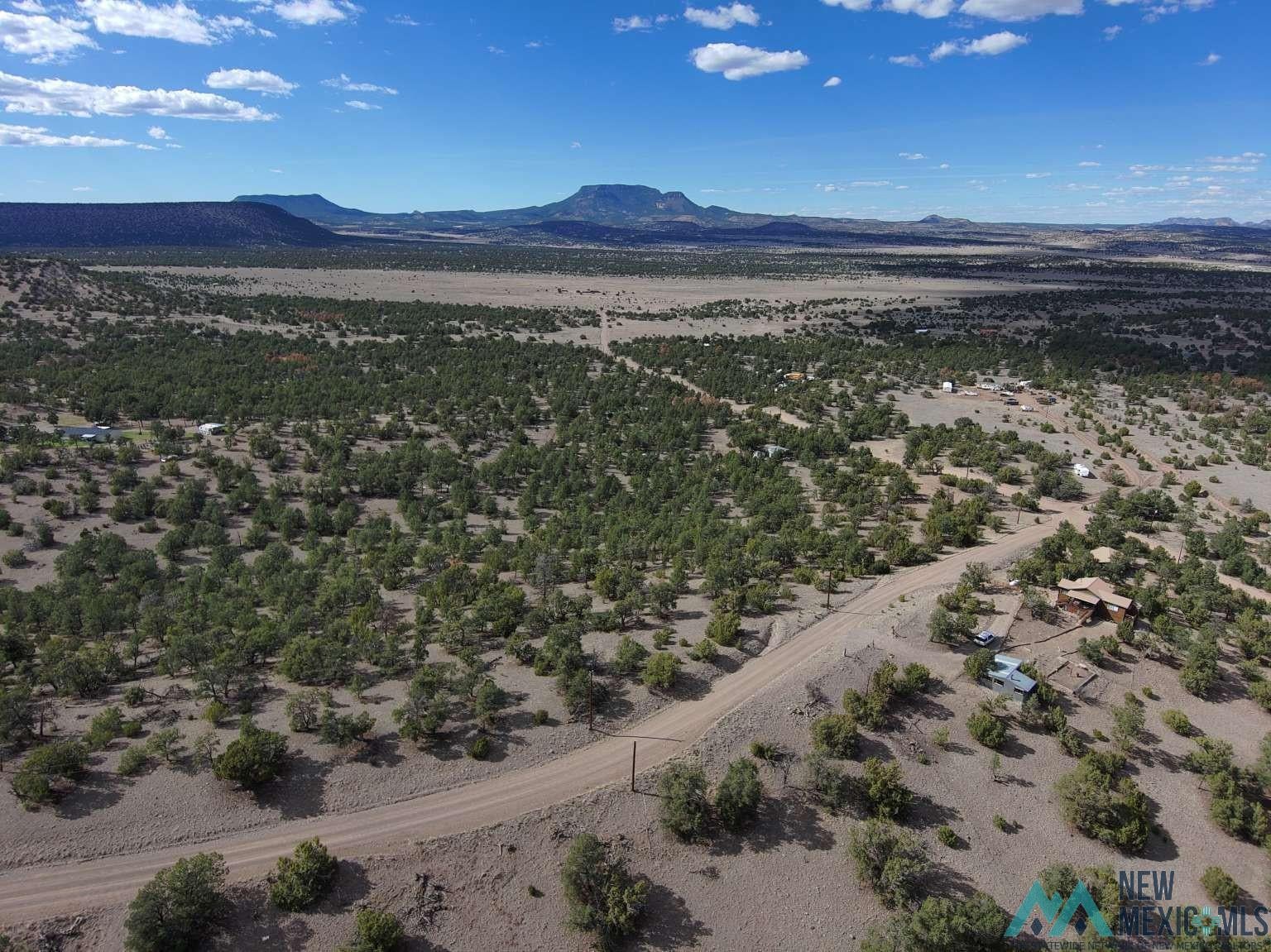 55 Crooked Arrow Datil, NM 87821 - Photo 3 of 12