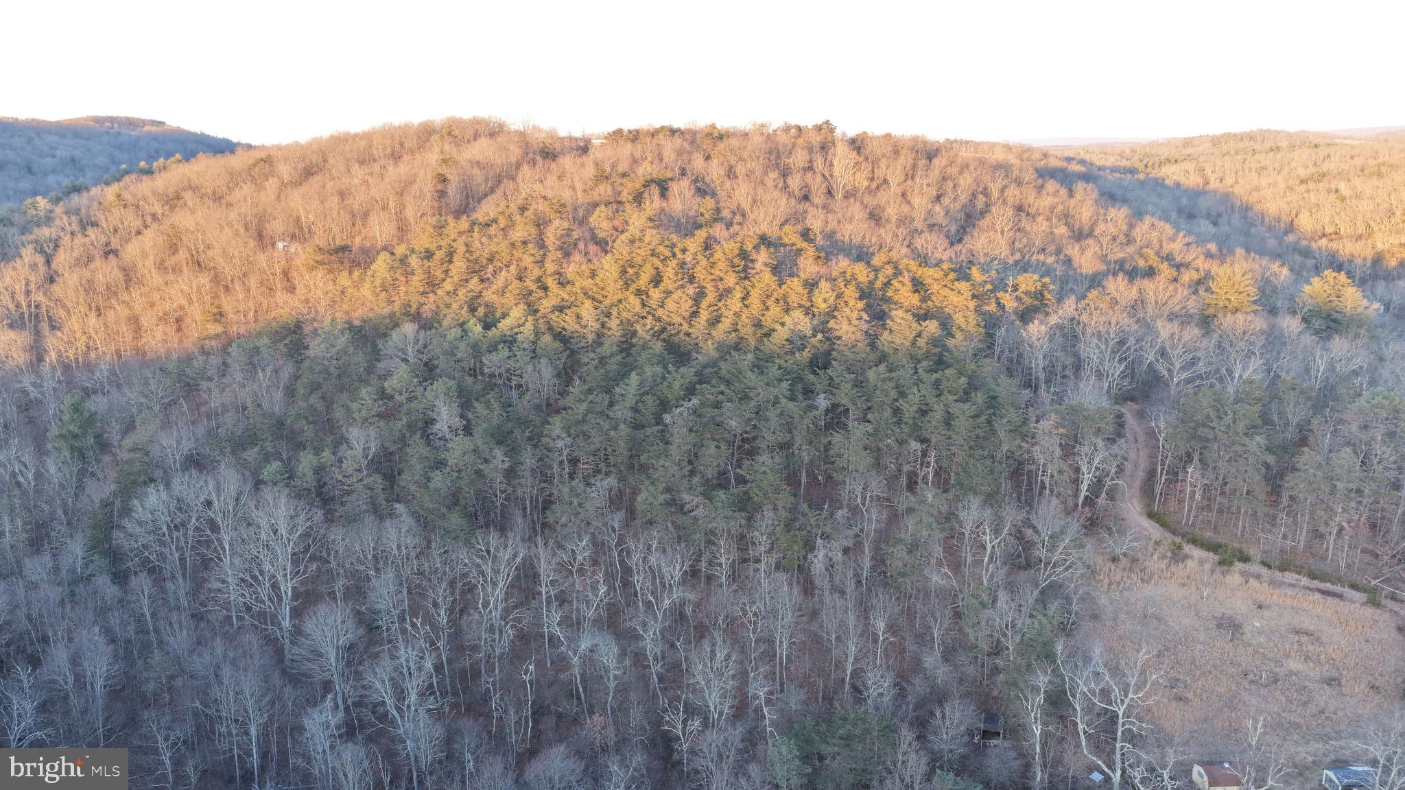 0 Mearkle Road Clearville, PA 15535 - Photo 34 of 37