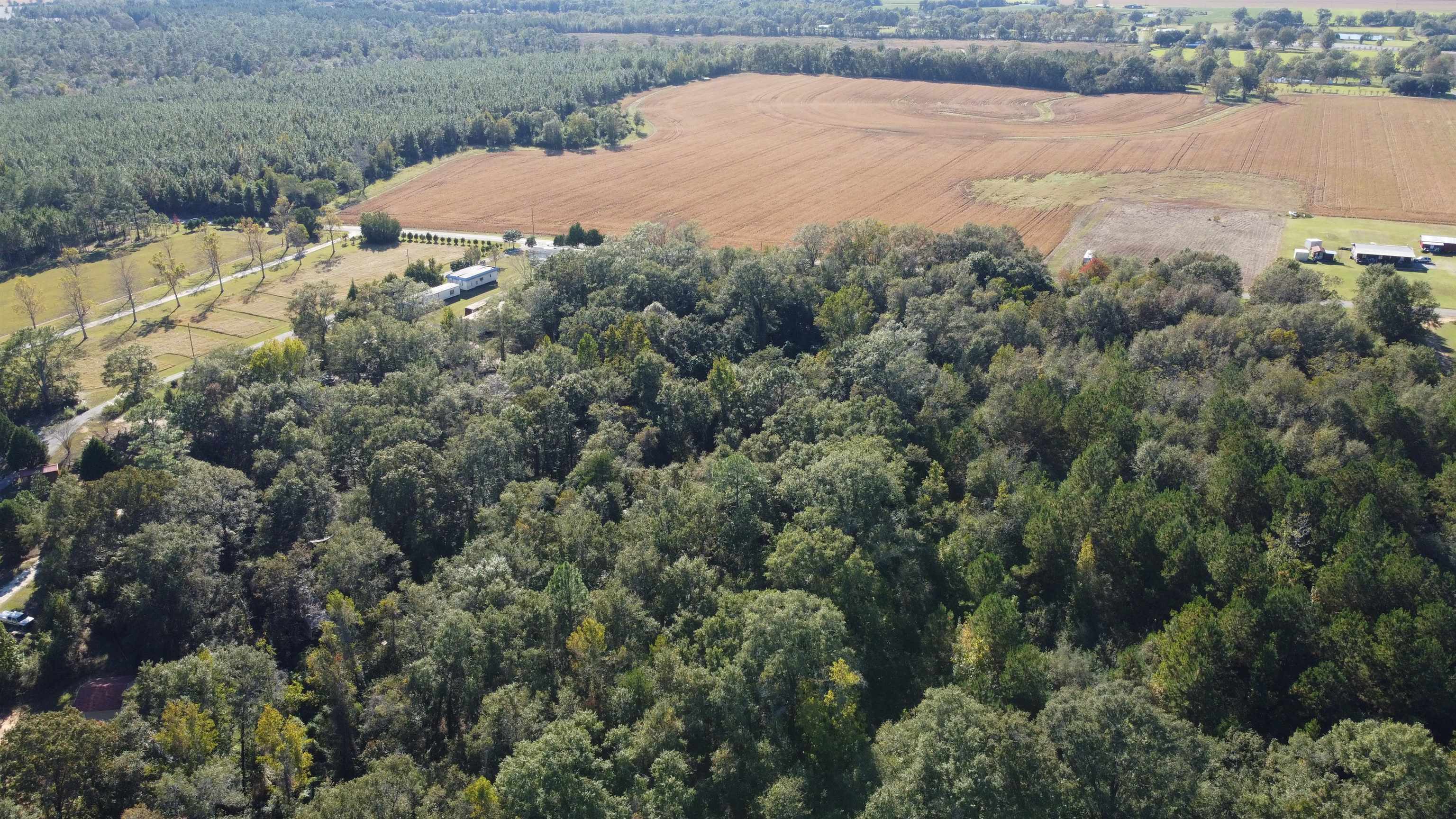 0 Cowpen Creek Road Atmore, AL 36502 - Photo 18 of 21