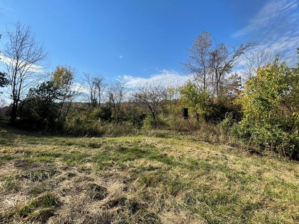 0 Ashcraft Road Mount Olivet, KY 41064 - Photo 8 of 17 42452_12