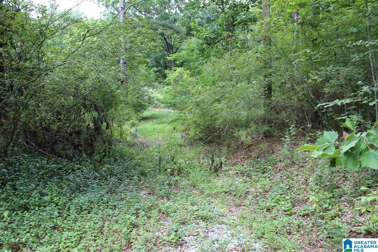 Mae Drive Alabaster, AL 35007 - Photo 2 of 6