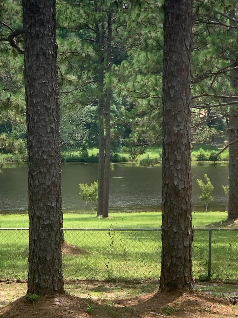 Lot A Ridge Lake Road Crestview, FL 32536 - Photo 1 of 4 a view of a tree in a yard with a tree