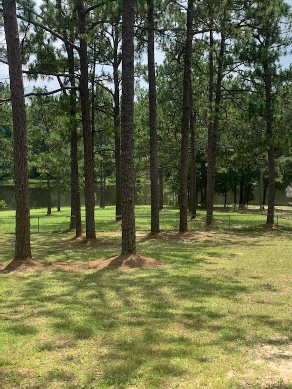 Lot A Ridge Lake Road Crestview, FL 32536 - Photo 2 of 4 a swimming pool with trees in the background