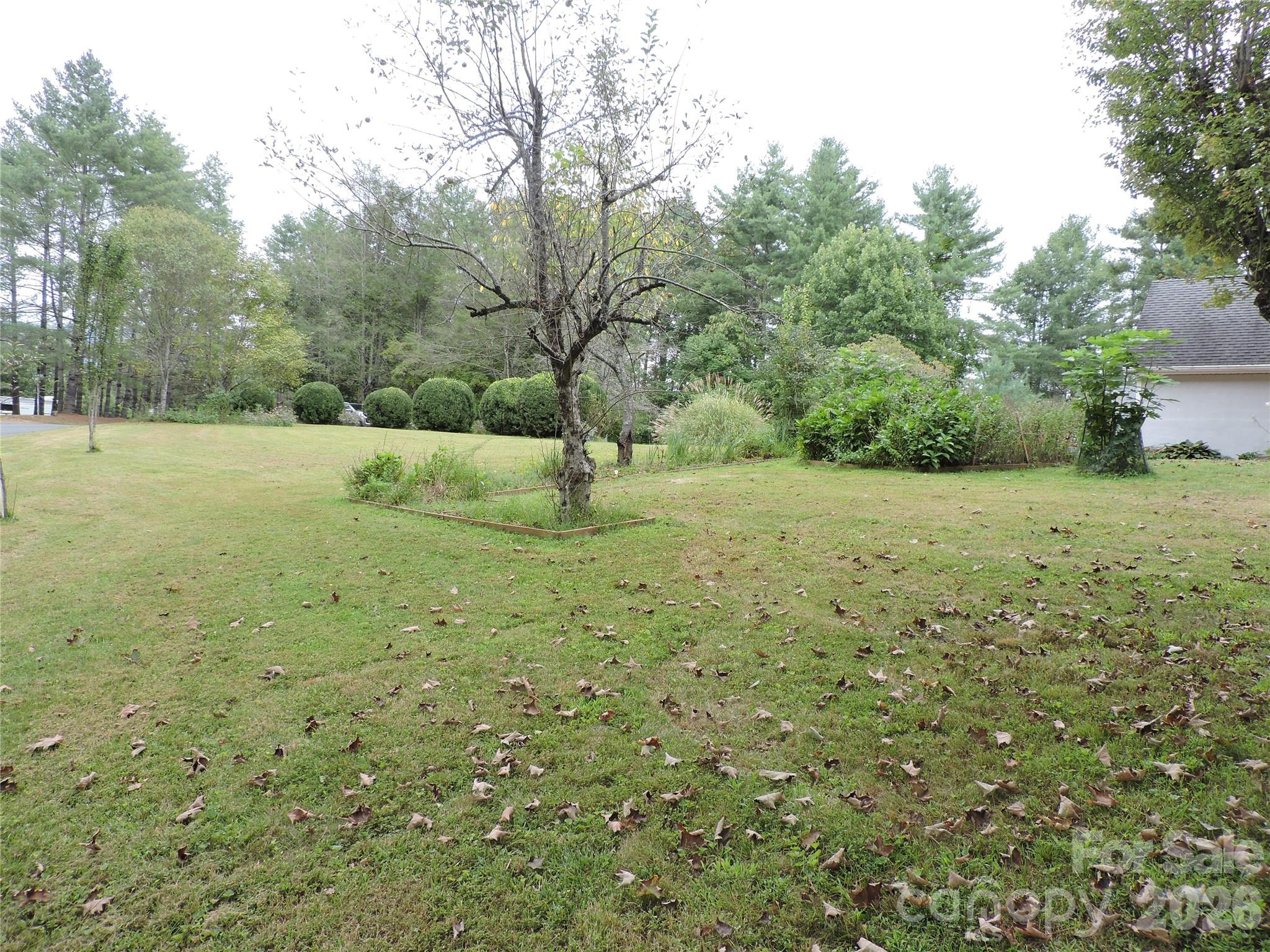 74 Vaughn Road Spruce Pine, NC 28777 - Photo 41 of 41 Gallery Image 41