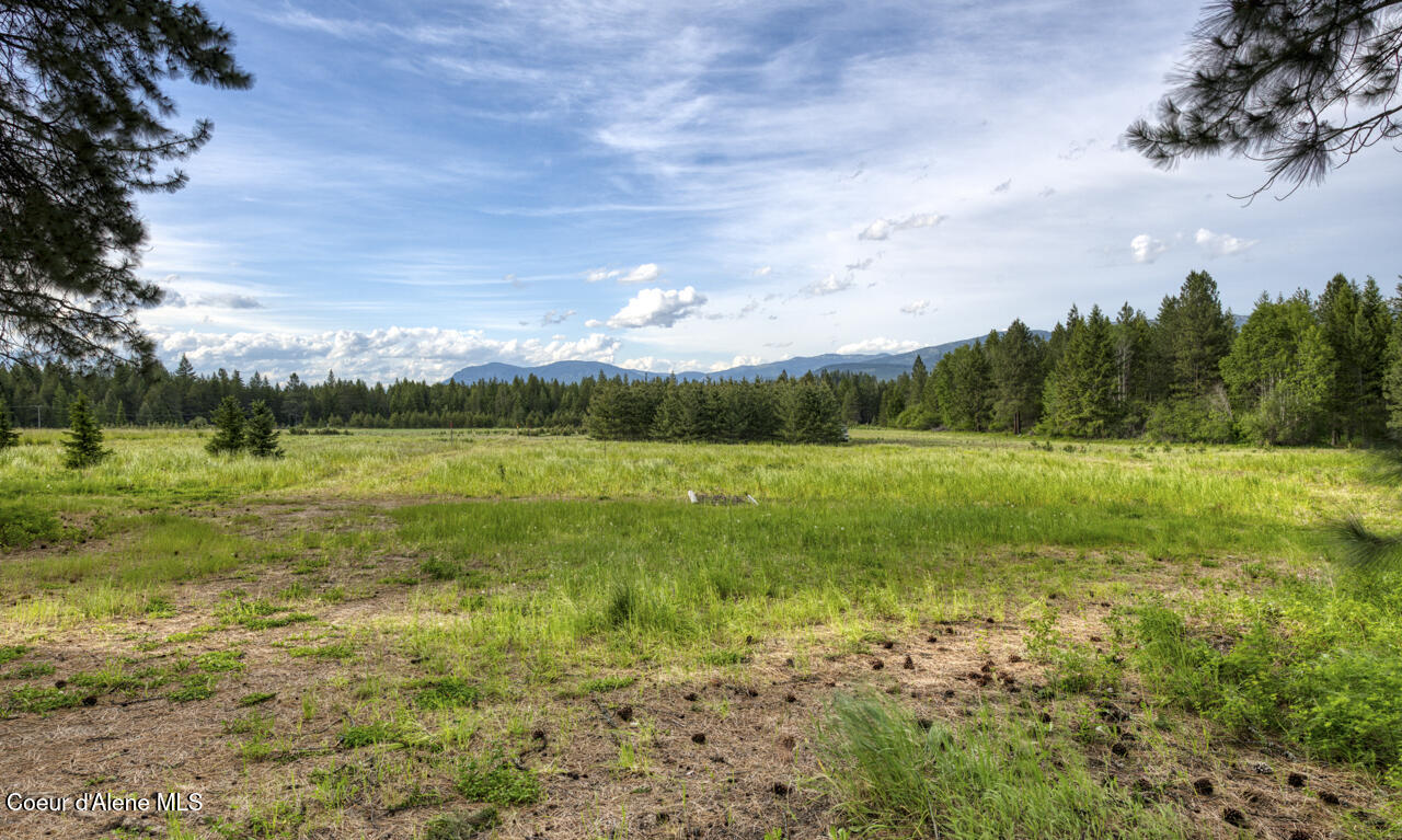 Nna Holmes Road Bonners Ferry, ID 83805 - Photo 3 of 7 Level, fertile land