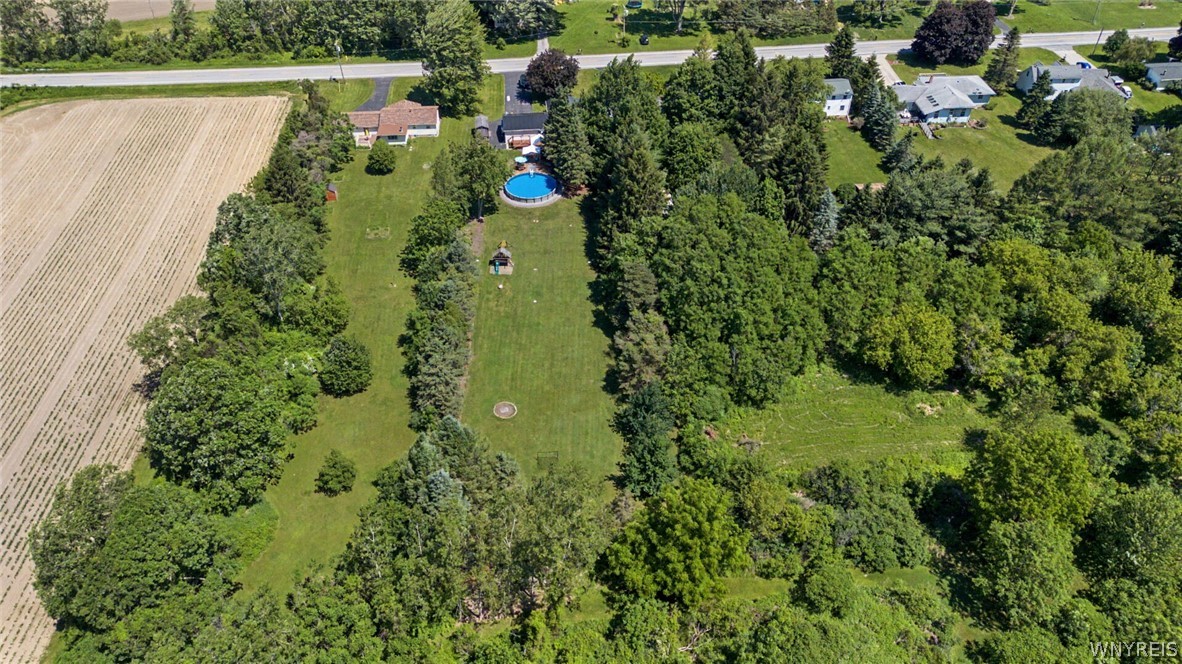 13075 Steiner Road Newstead, NY 14001 - Photo 30 of 35