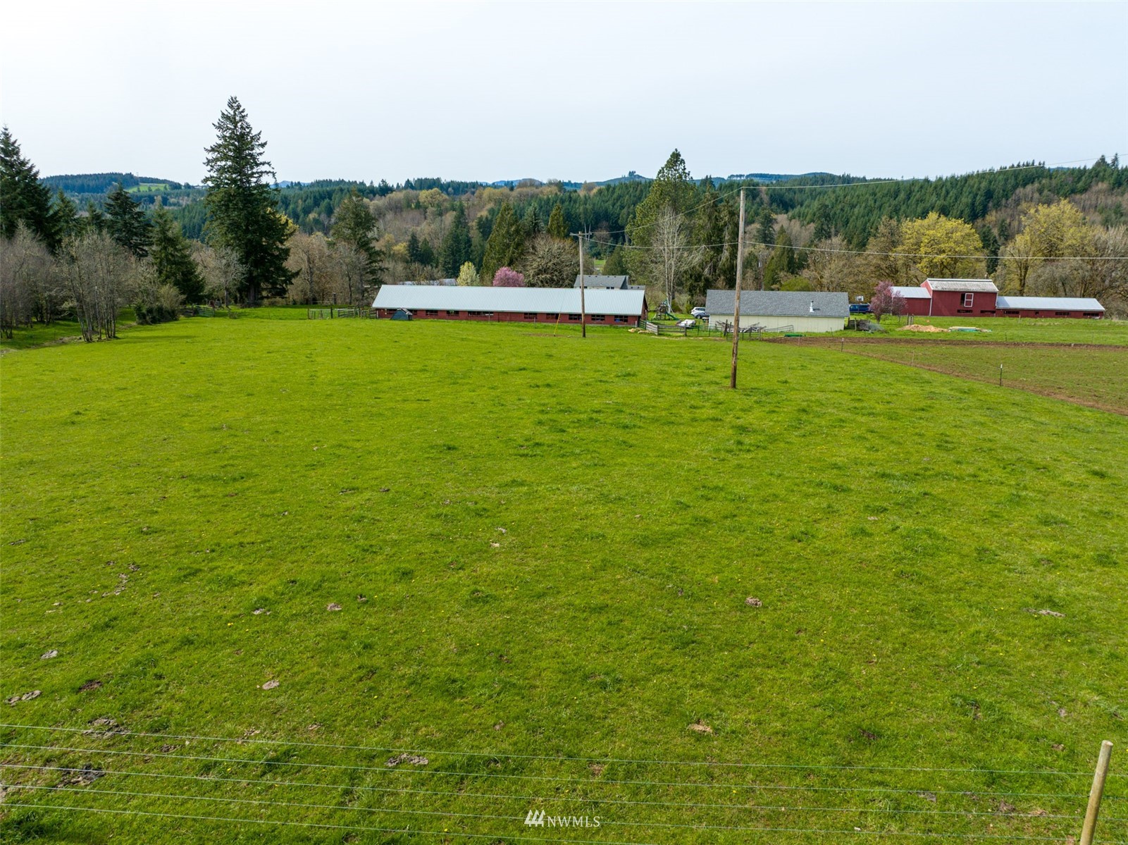 -xxx Ferrier Road Winlock, WA 98596 - Photo 12 of 18 a view of a green field with trees in the background