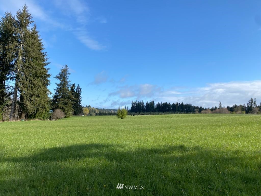 -xxx Ferrier Road Winlock, WA 98596 - Photo 14 of 18