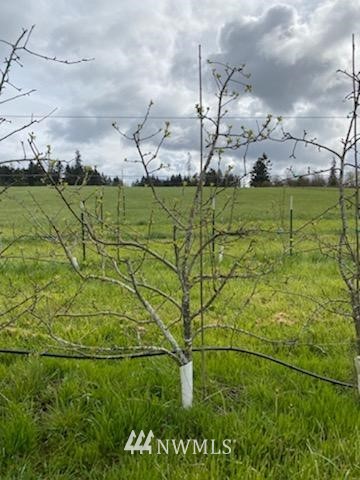 -xxx Ferrier Road Winlock, WA 98596 - Photo 15 of 18 a view of a city