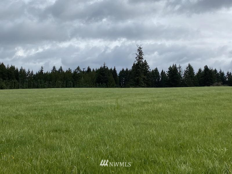 -xxx Ferrier Road Winlock, WA 98596 - Photo 16 of 18 a view of a field with trees in the background