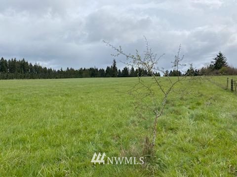 -xxx Ferrier Road Winlock, WA 98596 - Photo 17 of 18 a view of a field with an ocean