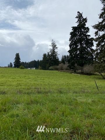 -xxx Ferrier Road Winlock, WA 98596 - Photo 18 of 18 a view of a golf course with a garden