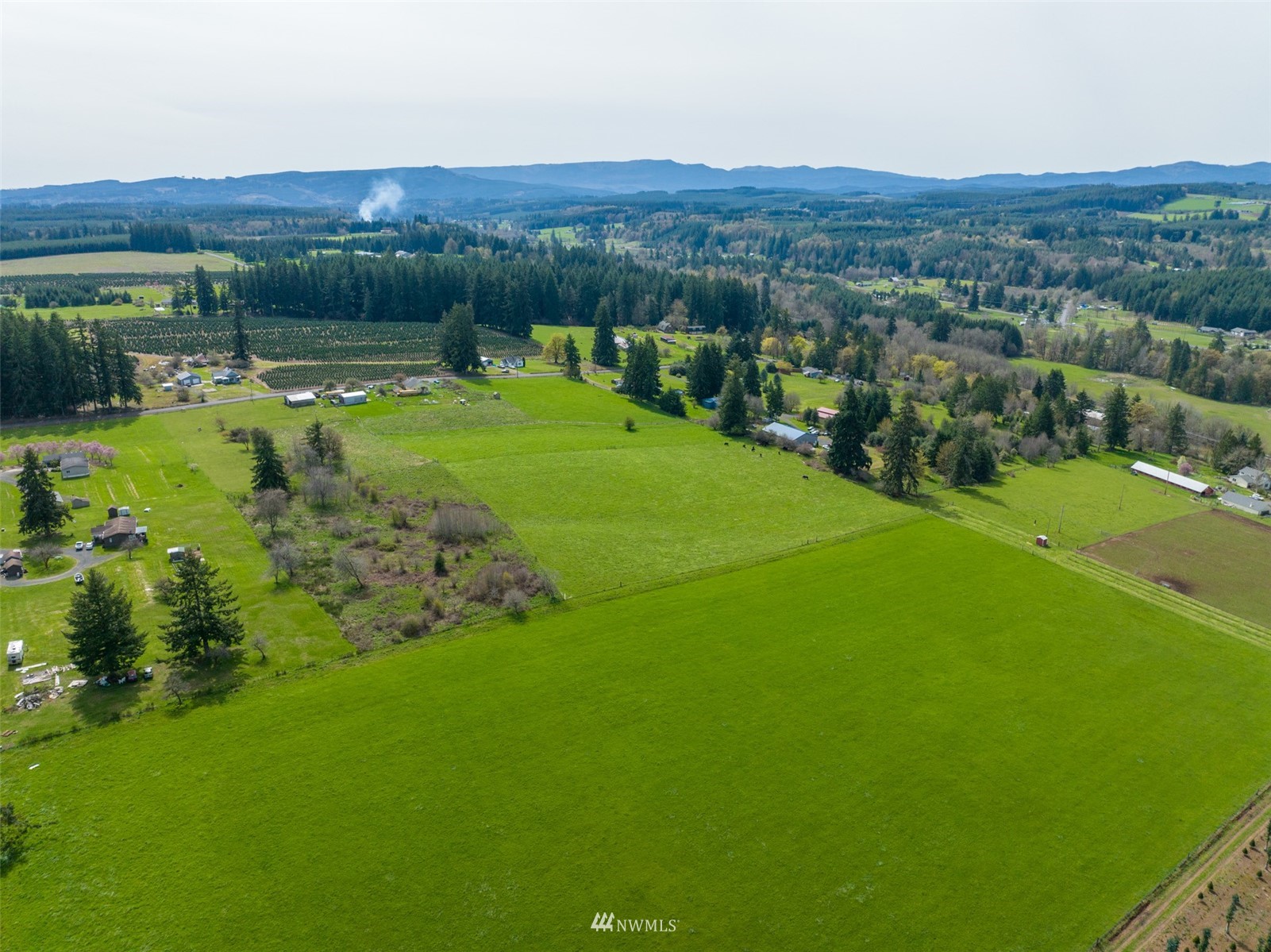 -xxx Ferrier Road Winlock, WA 98596 - Photo 3 of 18 a view of a lush green field