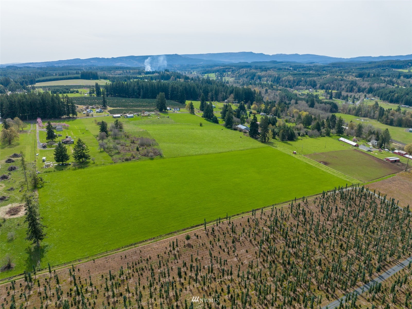 -xxx Ferrier Road Winlock, WA 98596 - Photo 5 of 18 a view of a green field with sitting area