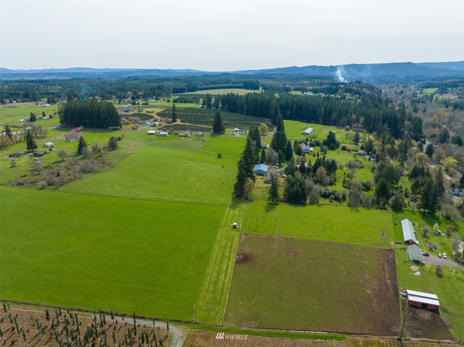 -xxx Ferrier Road Winlock, WA 98596 - Photo 6 of 18 an aerial view of a golf course with a yard