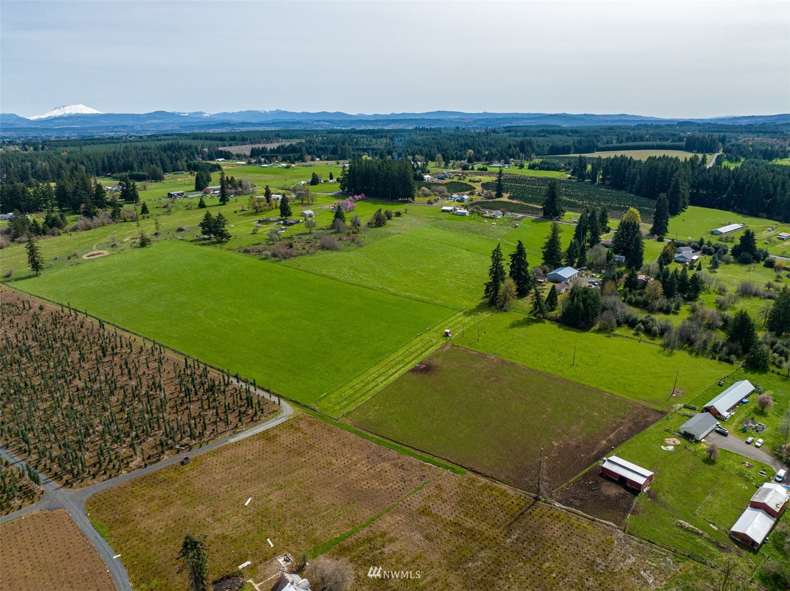 -xxx Ferrier Road Winlock, WA 98596 - Photo 7 of 18 a view of a golf course with a yard