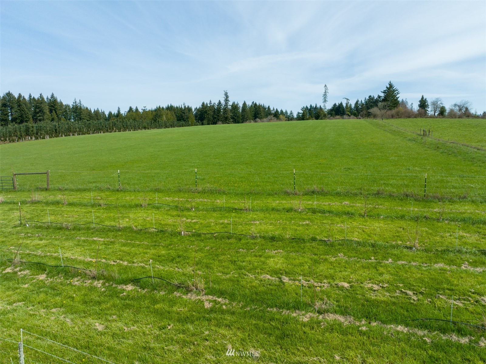 -xxx Ferrier Road Winlock, WA 98596 - Photo 10 of 18 a view of a golf course with a lake