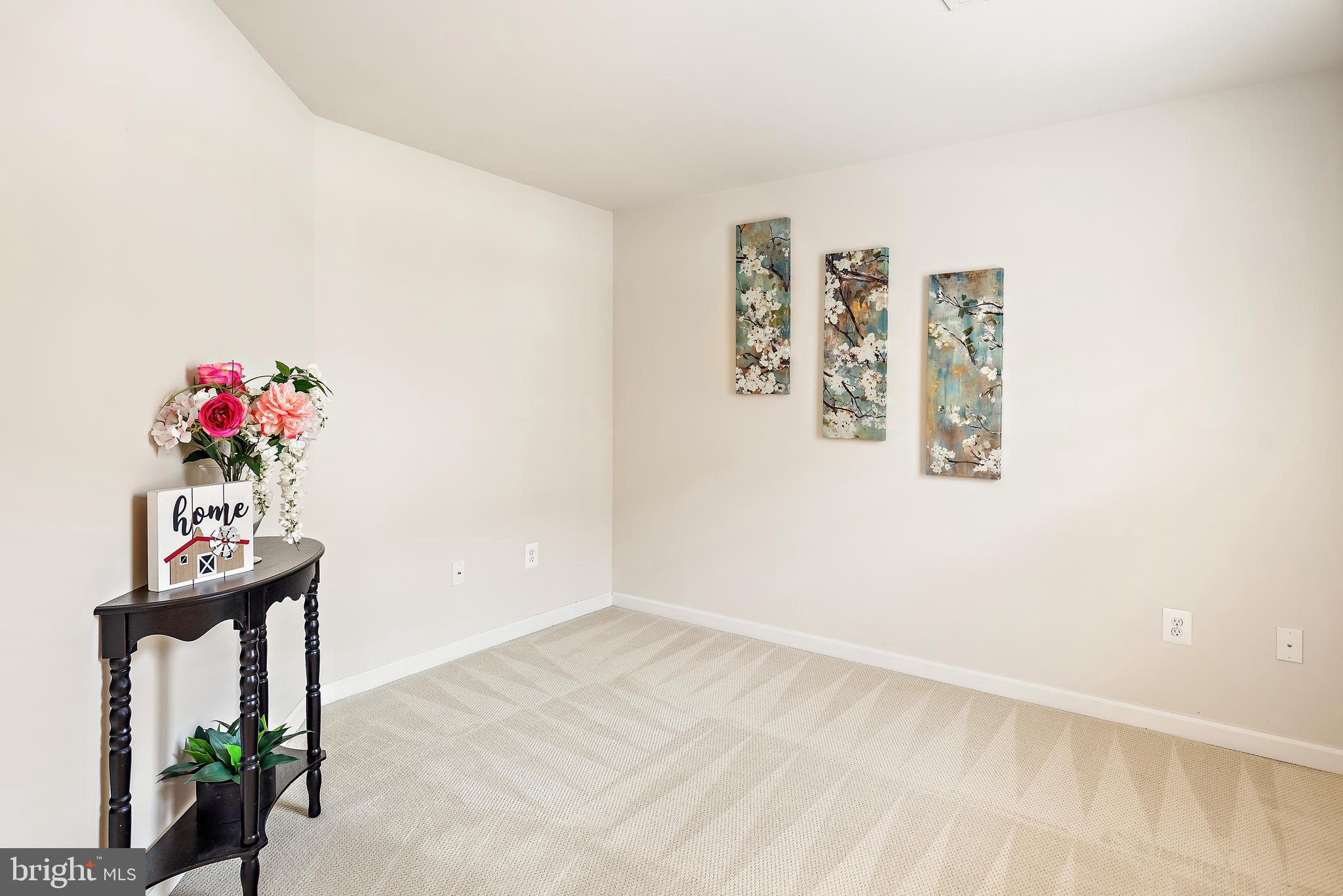 3838 Cullingworth Road Burtonsville, MD 20866 - Photo 20 of 69 a view of an entryway with a flower pot