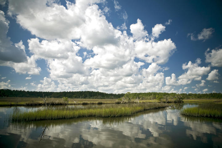 4117 Duck Club Road Ravenel, SC 29470 - Photo 33 of 48 6a