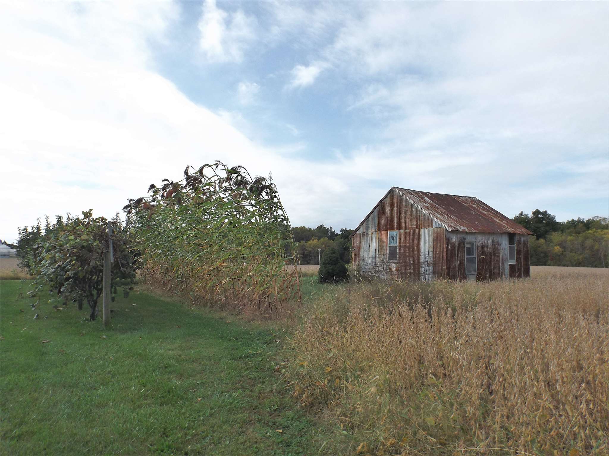 10521 Bethel Road Fort Wayne, IN 46818 - Photo 24 of 25 Gallery Image 24