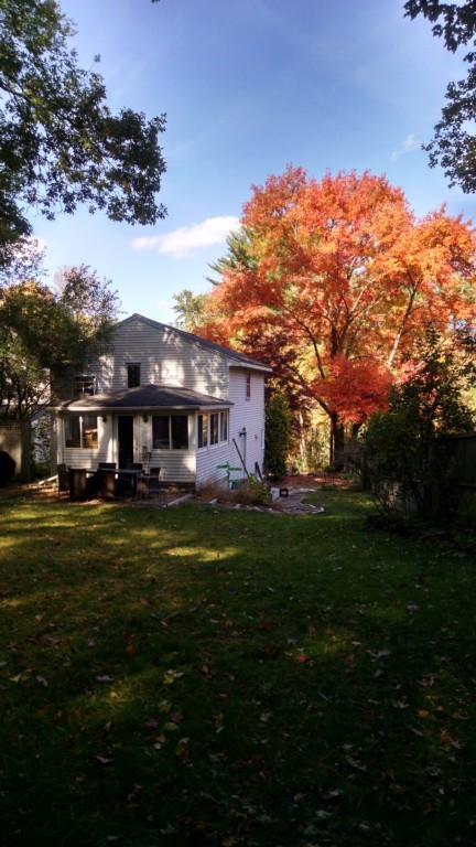 19 Hume Road Bedford, MA 01730 - Photo 8 of 30 Gallery Image 8