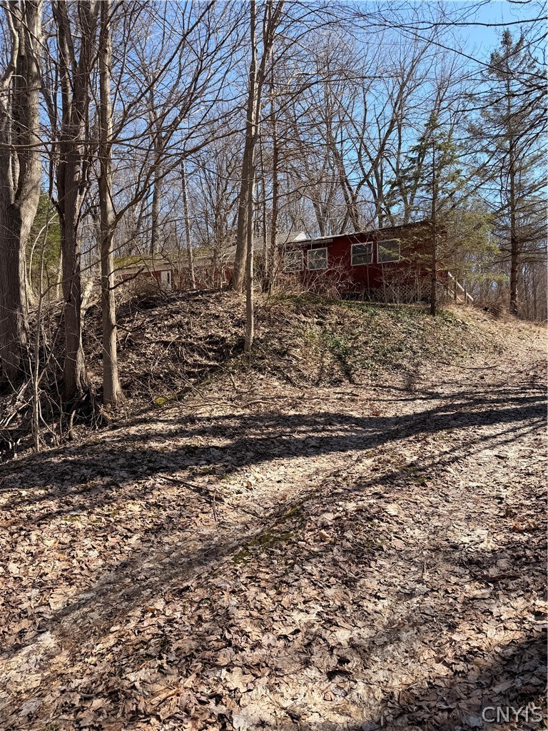 1036 Peru Road Elbridge, NY 13080 - Photo 24 of 25