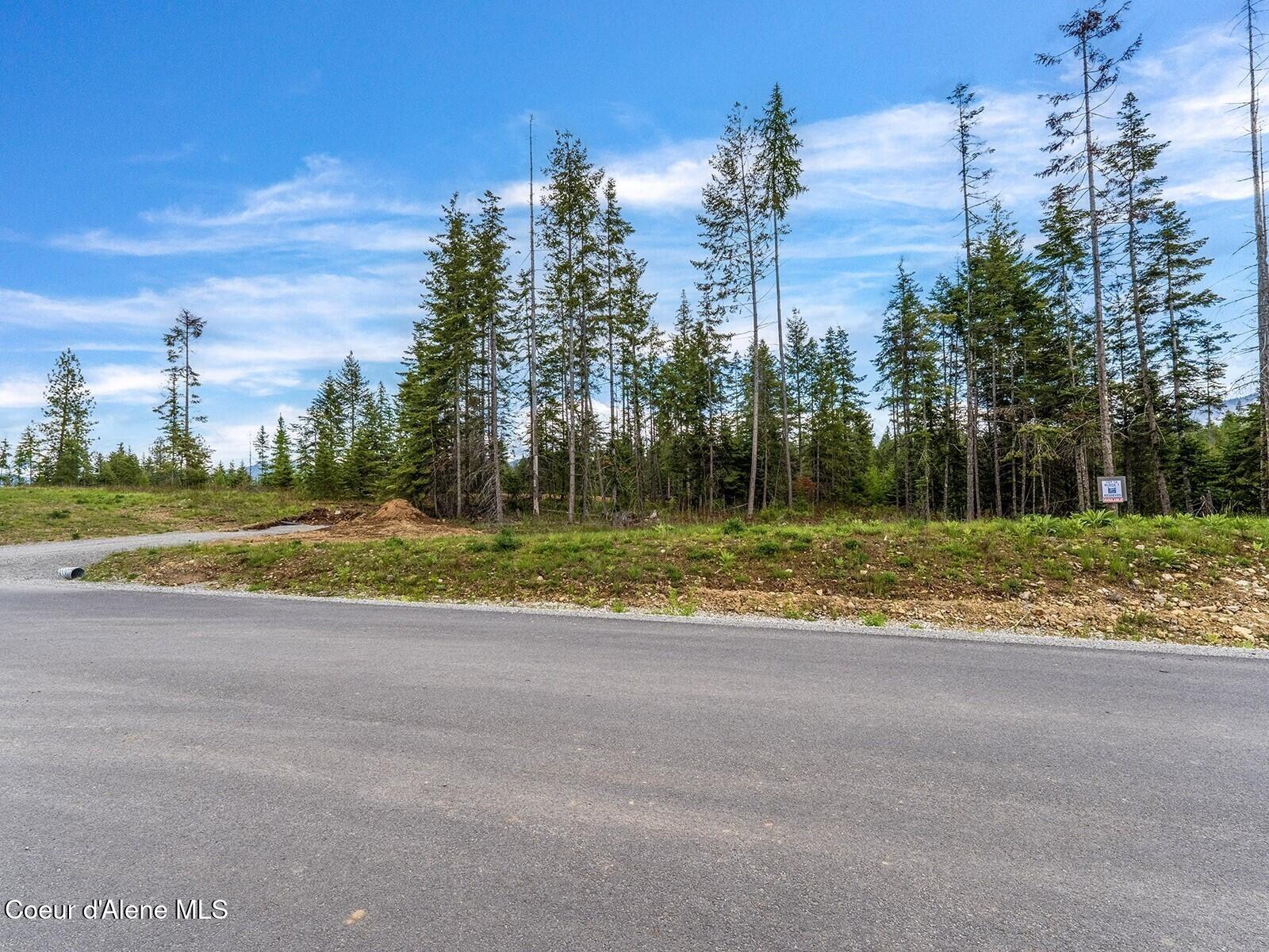 1 Leonard Loop Athol, ID 83801 - Photo 21 of 24 Street view to Lot 16