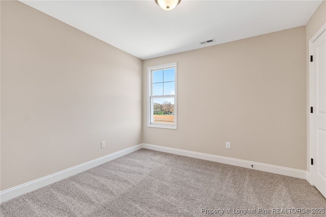 4182 Darroch Road Lillington, NC 27546 - Photo 18 of 39 Gallery Image 18