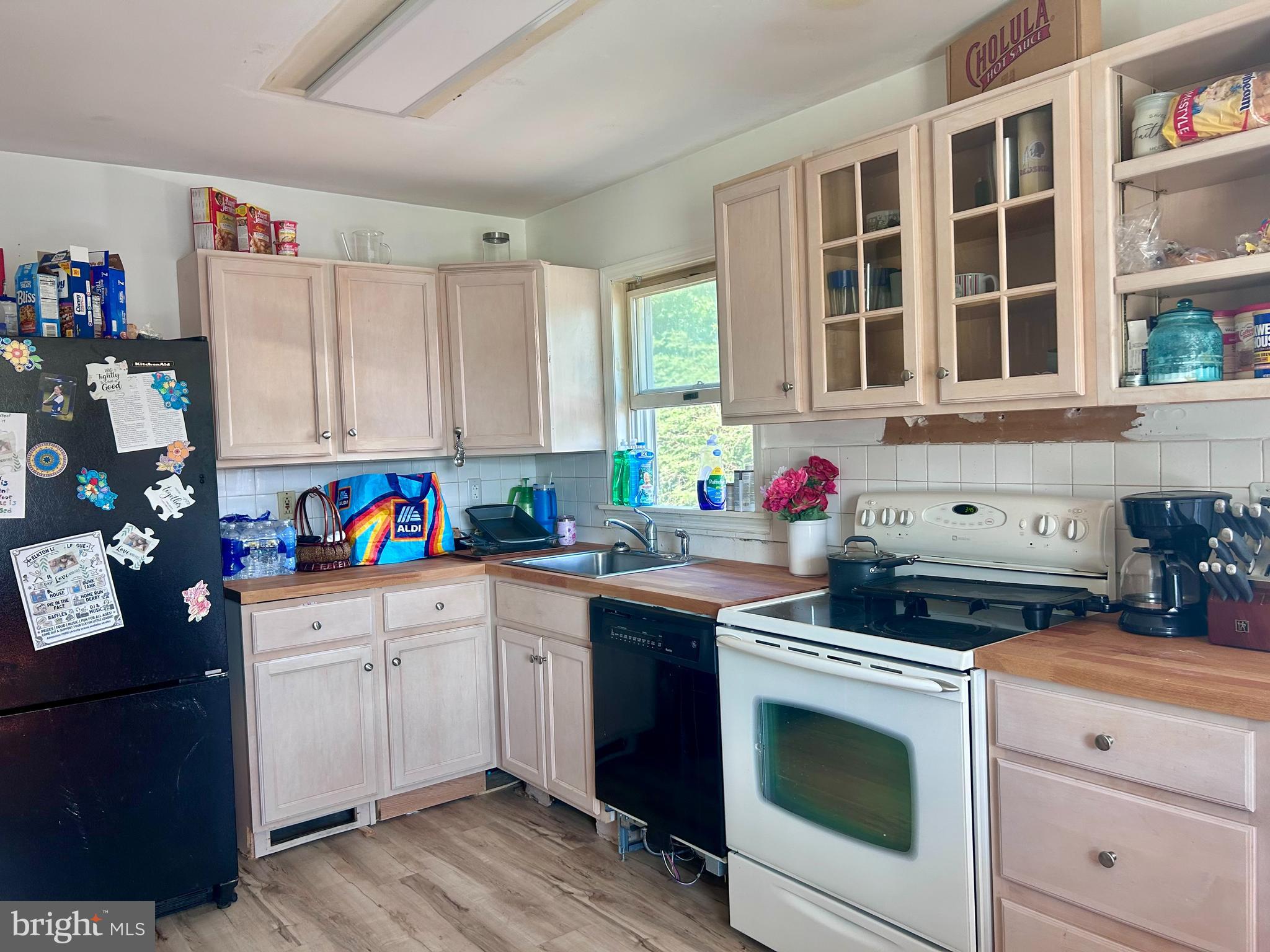 307 East Village Road Elkton, MD 21921 - Photo 4 of 12 Kitchen