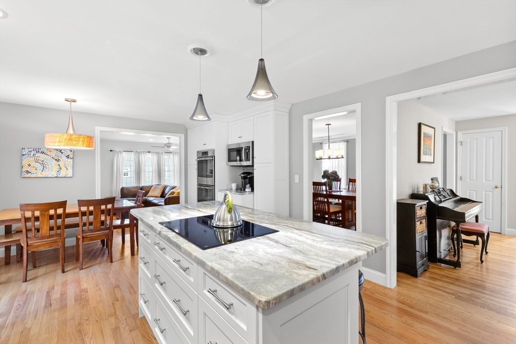 4 Davis Lane Georgetown, MA 01833 - Photo 5 of 42