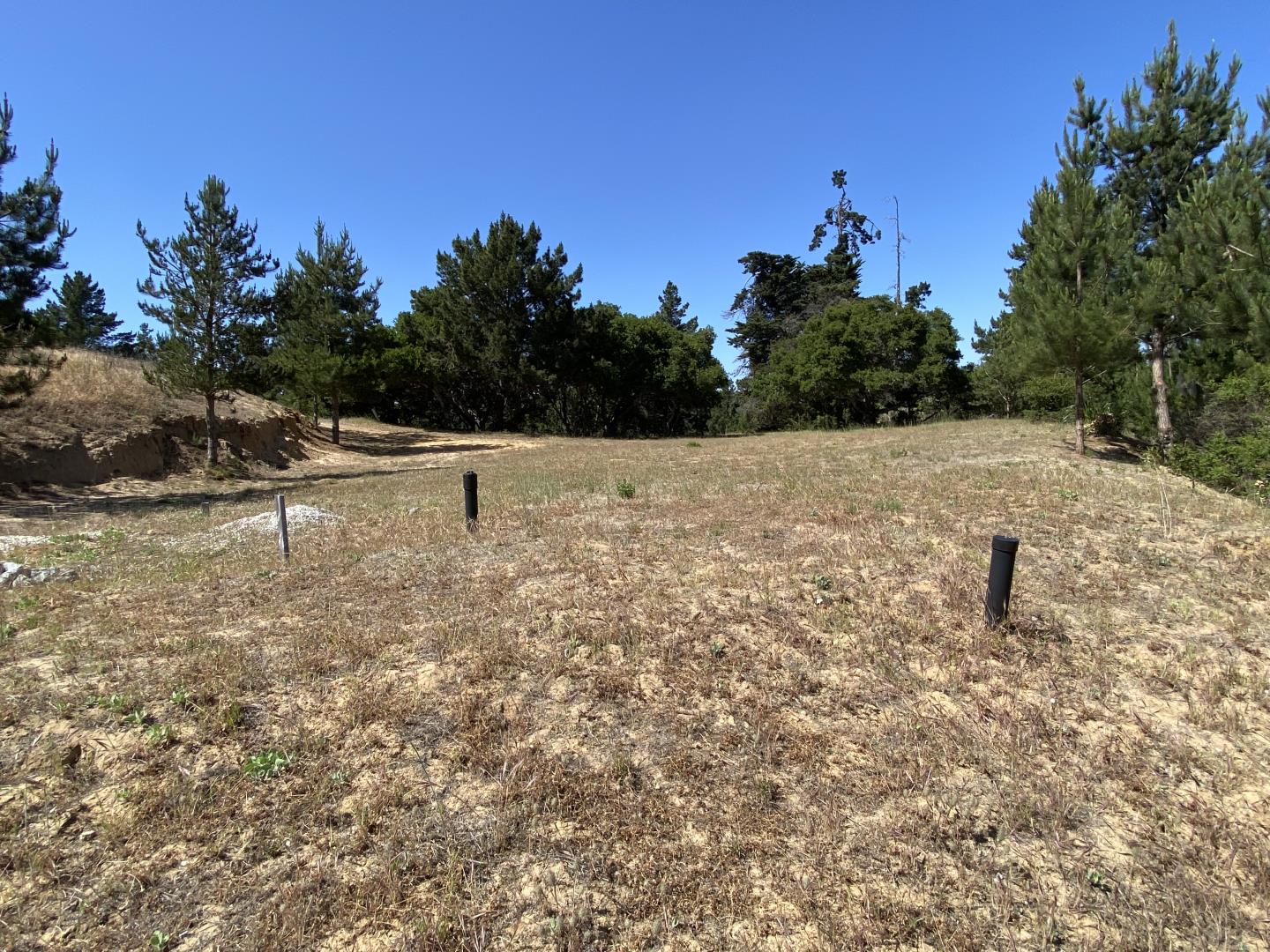 8741 Eagles Roost Road Salinas, CA 93907 - Photo 16 of 19 a view of outdoor space with trees all around