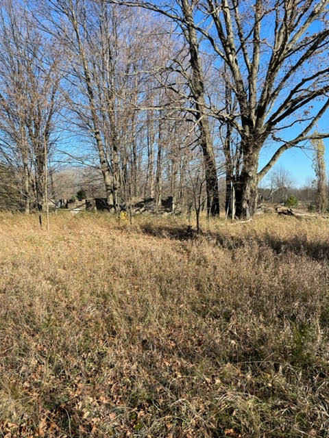 9413 Jouppi Road Kaleva, MI 49645 - Photo 11 of 14 Jouppi12