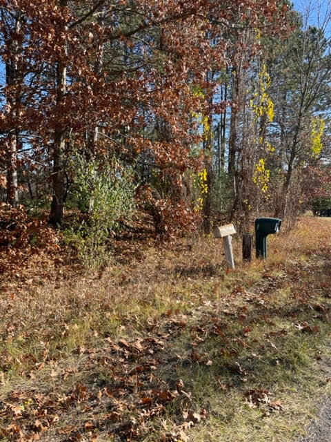 9413 Jouppi Road Kaleva, MI 49645 - Photo 14 of 14 Jouppi8