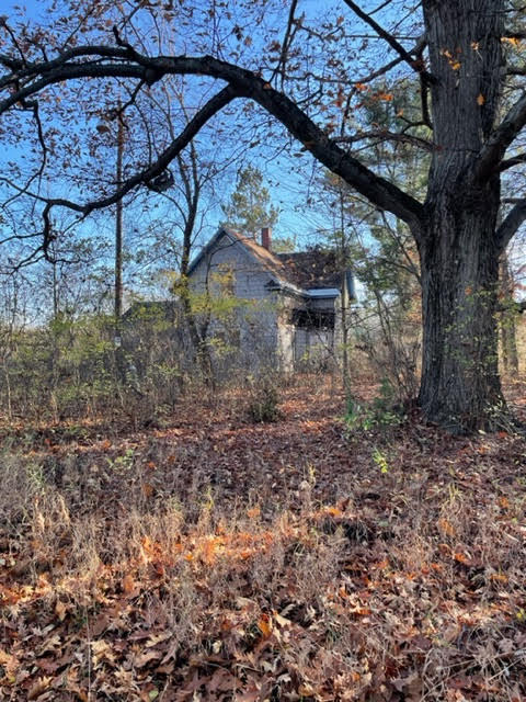 9413 Jouppi Road Kaleva, MI 49645 - Photo 3 of 14 Jouppi9 - Copy