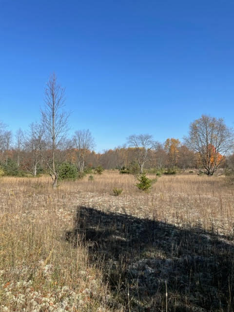 9413 Jouppi Road Kaleva, MI 49645 - Photo 6 of 14 Jouppi4