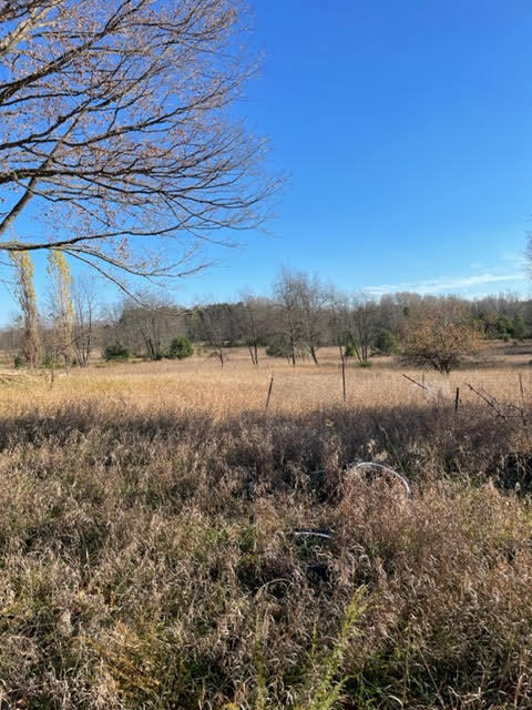 9413 Jouppi Road Kaleva, MI 49645 - Photo 10 of 14 Jouppi13