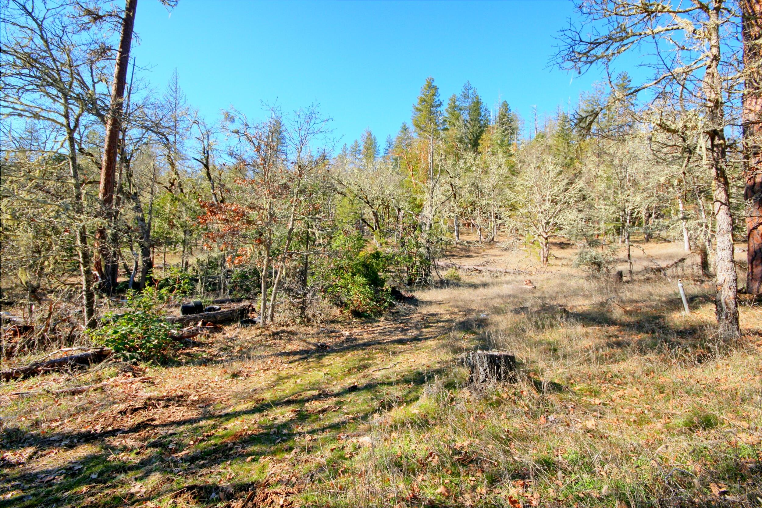5000 Thompson Creek Road Jacksonville, OR 97530 - Photo 28 of 71 IMG_8923_4_5_easyHDR